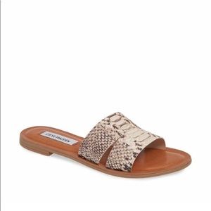 NWT Steve Madden Alexandra Slide in Snake Print